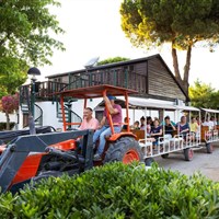 Residence Mare Pineta - www.marco-polo.cz