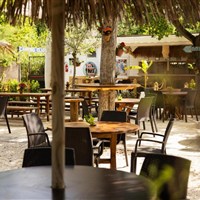 Camping Classe Village - www.marco-polo.cz