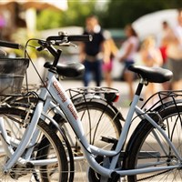 Camping Classe Village - www.marco-polo.cz