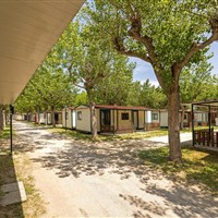 Camping Classe Village - www.marco-polo.cz