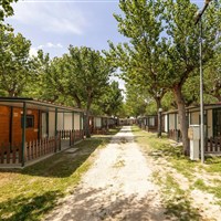 Camping Classe Village - www.marco-polo.cz