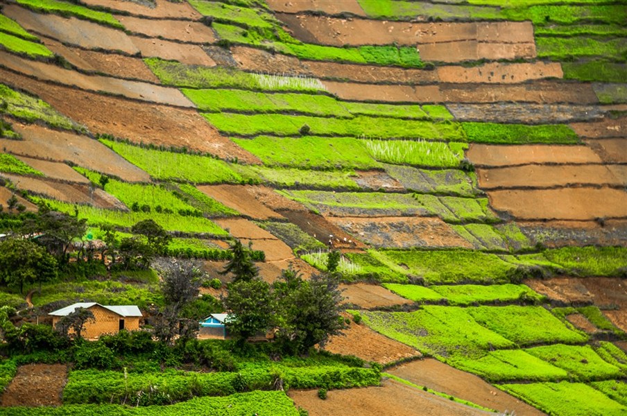 To nejlepší ze safari v Ugandě