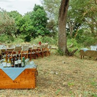 Kirurumu Tarangire Lodge 3*plus - Tanzanie_Tarangire_Kirurumu - www.marco-polo.cz