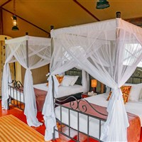 Kirurumu Tarangire Lodge 3*plus - Tanzanie_Tarangire_Kirurumu - www.marco-polo.cz