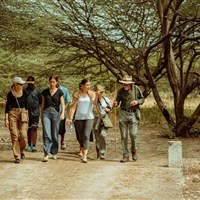 Kirurumu Tarangire Lodge 3*plus - Tanzanie_Tarangire_Kirurumu - www.marco-polo.cz