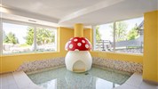 Hotel Alpine Mugon ****