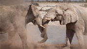 Expedice náklaďákem po Namibii s anglicky mluvícím průvodcem