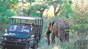 Kapské Město a safari v Krugerově parku s českým průvodcem