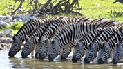 Volání divočiny - safari kombinace v Keni a Tanzanii