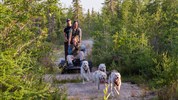 Kanadská velká pětka | safari Manitobou až k Hudsonovu zálivu - Dog carting je letní obdoba jízdy se psím spřežením na speciálním vozíku. Program přibližuje historii dog sleddingu, práci psů a kulturu severní Manitoby.