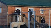 V říši ledních medvědů | prémiové safari u Hudsonova zálivu - Jedním z největších kouzel programu je možnost pozorovat lední medvědy přímo v okolí Dymond Lake Ecolodge. Snímek ukazuje, jak mimořádně blízko se zde příroda potkává s komfortním zázemím pro hosty. Foto: Churchill Wild | Dafna Bennun