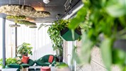 Hotel Adler Suite & Stube ****