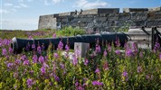Běluhy severní Kanady | letní cesta k Hudsonovu zálivu - Kanóny pevnosti Prince of Wales Fort dokreslují vojenskou a obchodní historii oblasti Hudsonova zálivu. Tato zastávka pomáhá zasadit cestu do širšího historického kontextu severní Kanady.