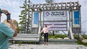 Běluhy severní Kanady | letní cesta k Hudsonovu zálivu - Churchill je známý jako jedno z nejvýznamnějších míst pro pozorování ledních medvědů. V letním programu jsou však hlavním motivem běluhy a lední medvědi představují spíše možný doplněk severní přírody.