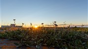 Běluhy severní Kanady | letní cesta k Hudsonovu zálivu - Letní tundra při západu slunce vystihuje klidnější atmosféru severní Manitoby. Po vodních aktivitách s běluhami a výpravě Tundra Buggy® ukazuje další tvář krajiny u Hudsonova zálivu.