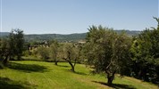 Hotel Villa il Patriarca ****