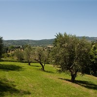 Hotel Villa il Patriarca - www.marco-polo.cz