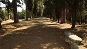 Hotel Villa il Patriarca ****