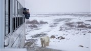 Tundra Buggy Lodge s Městem a Polárnimi Medvědy - Lední medvěd u Tundra Buggy Lodge ukazuje jedinečnost programu, při kterém hosté nezůstávají pouze ve městě Churchill, ale nocují přímo v tundře. Právě možnost pozorovat krajinu a zvířata z bezpečného zázemí lodge patří k hlavním důvodům, proč je tento zájezd tak výjimečný.