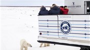 Tundra Buggy Lodge s Městem a Polárnimi Medvědy - Lední medvědi u Tundra Buggy Lodge připomínají, že lodge je sezonálně umístěna v jedné z nejznámějších oblastí výskytu ledních medvědů u Churchillu.