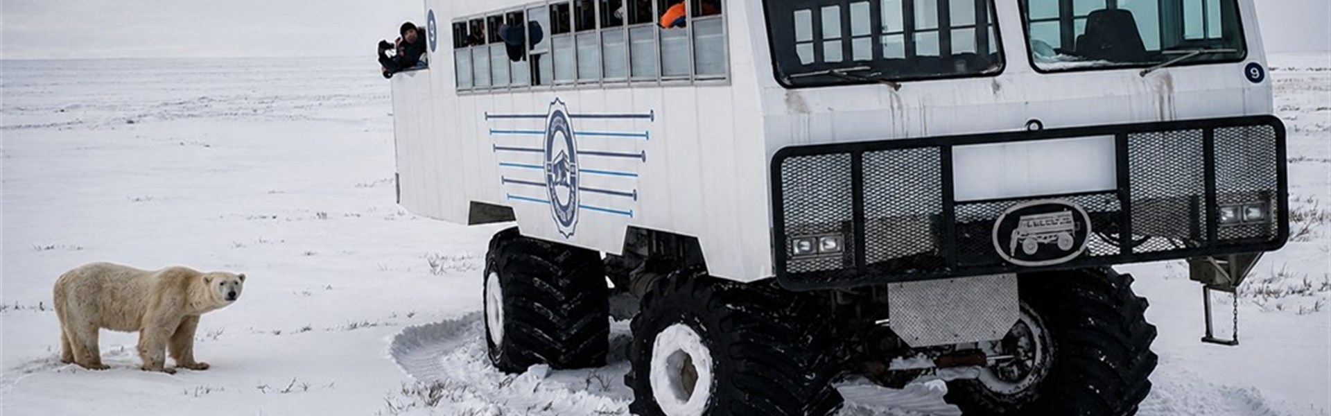 Tundra Buggy Lodge s Městem a Polárnimi Medvědy - Tundra Buggy a lední medvěd v zasněžené tundře patří k nejsilnějším obrazům zájezdu Noc v tundře ledních medvědů | prémiové safari z Tundra Buggy Lodge. Fotografie vystihuje hlavní podstatu programu – bezpečné pozorování ledních medvědů přímo v jejich přirozeném prostředí v oblasti Churchill Wildlife Management Area.