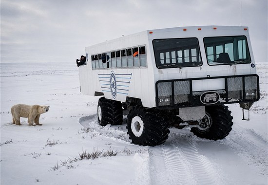 Noc v tundře ledních medvědů | prémiové safari z Tundra Buggy Lodge - Severní Amerika