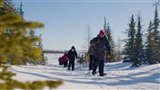 Polární záře | největší divadelní scéna Arktidy - Zimní trek na sněžnicích v Churchillu přibližuje denní část programu v boreálním lese. Výprava na sněžnicích umožňuje zažít ticho zimní krajiny, poznat prostředí severní Manitoby a doplnit večerní pozorování polární záře o aktivní denní zážitek.