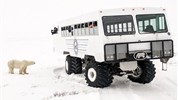 Polární záře | největší divadelní scéna Arktidy - Tundra Buggy® v zimní tundře u Churchillu patří k ikonickým prvkům cest do severní Manitoby. V rámci programu slouží k přesunům do odlehlých zimních lokalit, včetně večerních míst pro pozorování polární záře a výprav přes zamrzlou řeku Churchill.