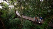 Velká cesta Austrálií a Oceánií s Fiji a Vanuatu - Kuranda, Cairns při poznávacím zájezdu po Austrálii, Vanuatu a Fidži. Credit: Tourism Australia
