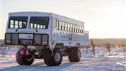 Lední medvědi v Churchillu | ikonické safari z Tundra Buggy® - Tundra Buggy® v Churchillu je jedním ze symbolů podzimních cest za ledními medvědy. Speciální vozidlo umožňuje bezpečný pohyb v tundře a přístup do oblastí, kde se v sezoně medvědi pohybují v přirozeném prostředí.
