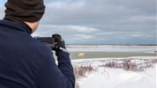 Lední medvědi v Churchillu | ikonické safari z Tundra Buggy® - Pozorování tundry v oblasti Churchillu ukazuje krajinu Churchill Wildlife Management Area z pohledu cestovatelů. Otevřený prostor, nízká vegetace a blízkost Hudsonova zálivu tvoří prostředí, ve kterém se odehrávají výpravy za ledními medvědy i další subarktickou faunou.