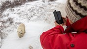 Lední medvědi v Churchillu | ikonické safari z Tundra Buggy® - Pozorování ledního medvěda z Tundra Buggy® patří k hlavním zážitkům klasického safari v Churchillu. Vozidlo poskytuje bezpečný prostor pro sledování medvědů v tundře a zároveň dobré podmínky pro fotografování.