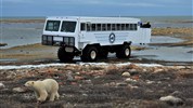 Lední medvědi v Churchillu | ikonické safari z Tundra Buggy® - Tundra Buggy® a lední medvěd u Churchillu spojují dva hlavní symboly programu: speciální vozidlo pro pohyb v tundře a ledního medvěda v oblasti Hudsonova zálivu. Fotografie jasně ukazuje, proč je Churchill jednou z nejznámějších destinací pro tento typ safari.