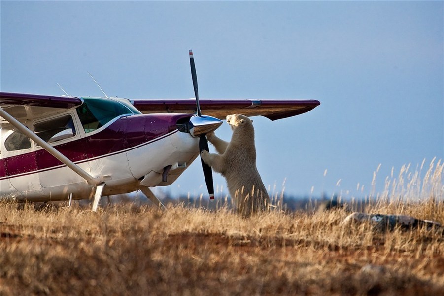Odysea Hudsonova zálivu | prémiové safari v divočině severní Kanady - Malé letadlo u Nanuk Polar Bear Lodge ukazuje odlehlost a expediční charakter prémiového safari v severní Kanadě. Foto: Churchill Wild | Richard Voliva.