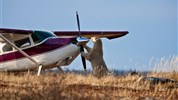 Odysea Hudsonova zálivu | prémiové safari v divočině severní Kanady - Malé letadlo u Nanuk Polar Bear Lodge ukazuje odlehlost a expediční charakter prémiového safari v severní Kanadě. Foto: Churchill Wild | Richard Voliva.