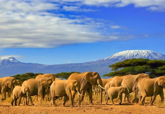 Ve stínu Kilimanjara - safari v Keni s českým průvodcem - Bamburi Beach - 