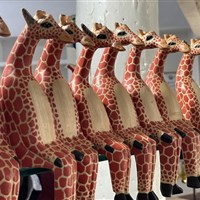 Žirafí centrum v Nairobi - Keňa-Nairobi-Giraffe Centre - www.marco-polo.cz