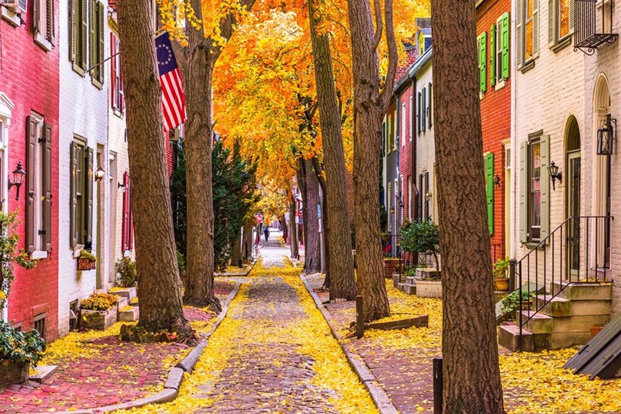 Poznávací zájezd - New York, Philadelfia, Washington DC & Cape May - Malebná dlážděná ulička lemovaná historickými domy a vzrostlými stromy patří k nejfotogeničtějším místům ve Philadelphii.