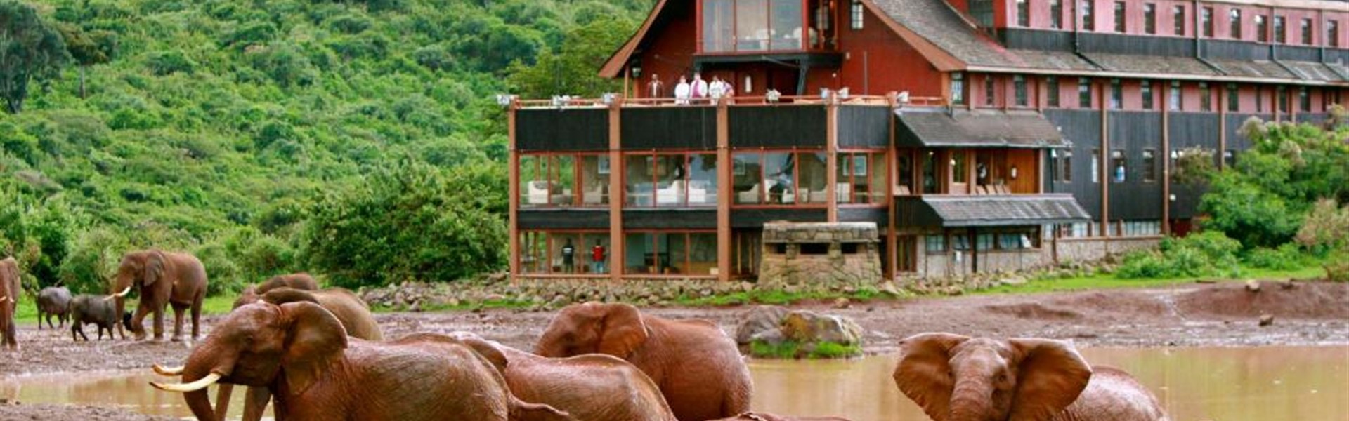 Marco Polo - The Ark Lodge Aberdare 4*plus - Keňa_Aberdare_The Ark Lodge