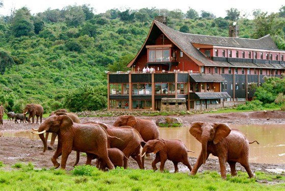 Marco Polo - The Ark Lodge Aberdare 4*plus - Keňa_Aberdare_The Ark Lodge