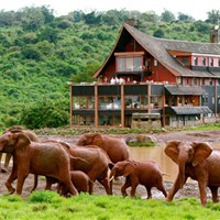 The Ark Lodge Aberdare 4*plus - Keňa_Aberdare_The Ark Lodge - www.marco-polo.cz