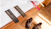 Apartmány Astor ***