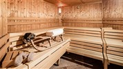 Apartmány Astor ***