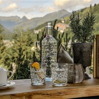 Hotel Alpin Juwel (S) - www.marco-polo.cz