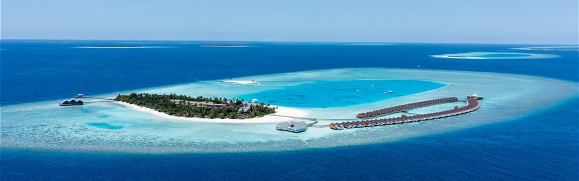 Marco Polo - The Standard - 