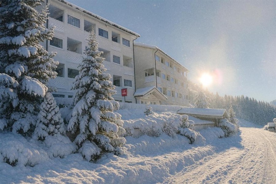 Hotel Grifone Dolomiti Resort ****