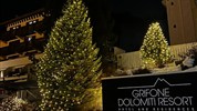 Hotel Grifone Dolomiti Resort ****
