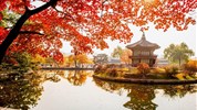 Dámská jízda: Tokyo & Soul s Adélou