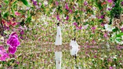 Dámská jízda: Tokyo & Soul s Adélou - Výstava TeamLab v Tokyu zaujme každého - expozice orchidejí