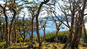 Chile a Argentina: Patagonie a Ohňová země s plavbou k mysu Horn